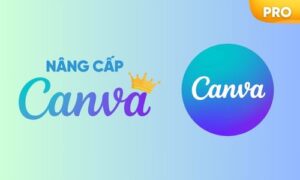 Canva Pro